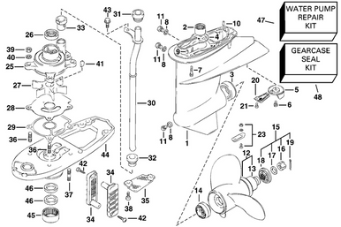 OMC Evinrude Johnson Water Pump Repair