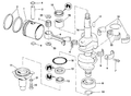OMC Evinrude Johnson Piston Kit