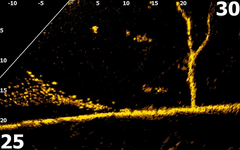 Lowrance Active Target 2
